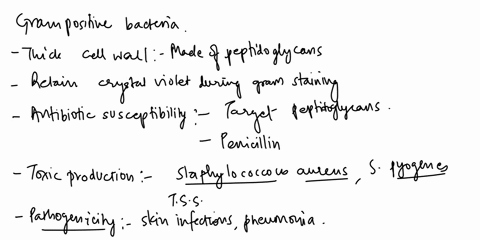 describe-the-medical-relevance-of-the-gram-positive-cell-walls-and-the-gram-negative-cell-walls-11196