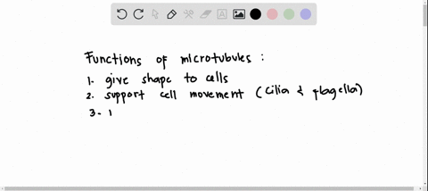 name-and-describe-the-functions-of-microtubules-in-animal-cells-90712