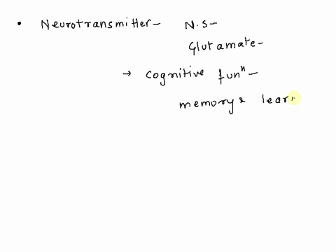 whlch-neurotransmltter-is-important-in-memory-and-learning-process-epinephrine-glutamate-serotonin-acetyl-choline-73685