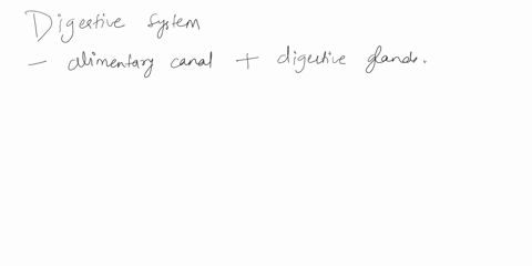 5-describe-the-function-of-the-digestive-system-and-differentiate-between-organs-of-the-alimentary-canal-and-accessory-digestive-organs-list-four-examples-of-each-and-provide-a-short-descrip-42209