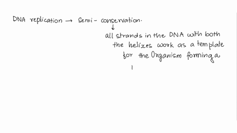 what-is-the-name-of-the-locations-that-dna-replication-begins-along-the-dna-molecule-02607