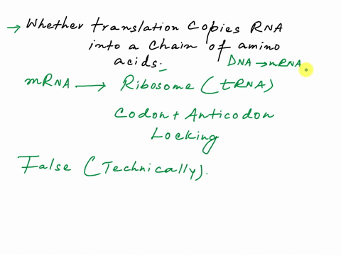 question-5-translation-copies-rna-into-chain-of-amino-acids-false-true-61873