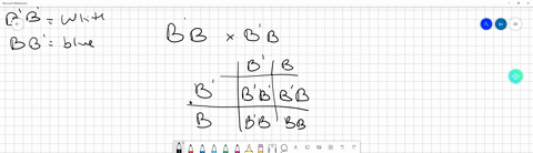 please-show-all-work-thank-you-1-how-many-different-types-of-gametes-are-possible-from-the-following-genotype-aabbcc-2-white-color-is-dominant-over-yellow-color-in-squash-what-genotypic-and-75131