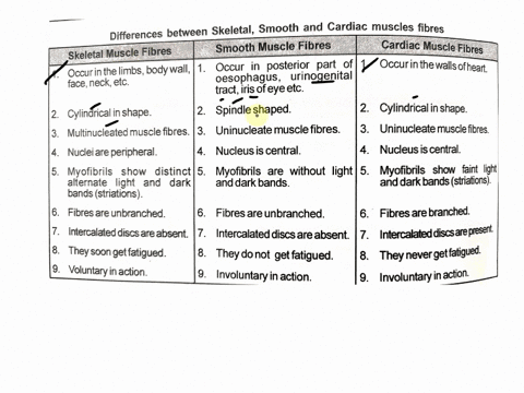 5list-5-major-differences-between-skeletalsmoothand-cardiac-muscle-edit-view-insertformat-tools-table-12pt-vparagraph-v-b-i-uavvtv-0words-question-6-10-6name-the-seven-extrinsic-muscles-of-t-57246