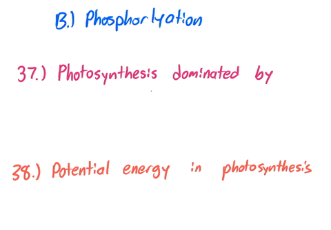 035-the-light-reactions-of-photosynthesis-supply-the-calvin-cycle-with-a-light-energy-b-co2-and-atp-c-atp-and-nadph-d-sugar-and-02-e-h2o-and-nadph-q36-cells-use-a-variety-of-metabolic-pathways-to-cons