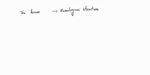 the-bones-in-the-front-limbs-of-many-mammals-are-similar-in-their-structure-and-arrangement-what-term-is-used-to-describe-physical-similarities-between-related-species-that-indicates-a-commo-34731