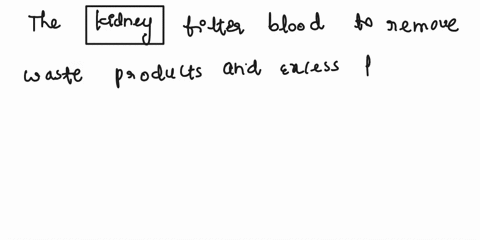 overviewone-of-the-most-important-functions-of-the-kidney-is-filtration-of-blood-and-maintaining-blood-pressure-when-a-patient-has-hypertension-one-of-the-treatments-given-is-a-diuretic-and-25606