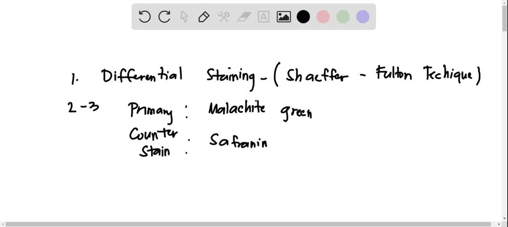Structural Stain Examples SOLVED: What are the two structures that can be visualized using a ...
