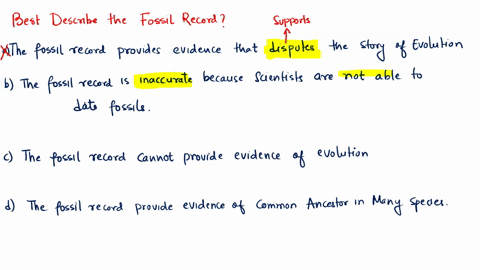 which-best-describes-the-fossil-record-the-fossil-record-cannot-provide-evidence-of-evolution-the-fossil-record-provides-evidence-of-a-common-ancestor-to-many-species-the-fossil-record-provi-64528