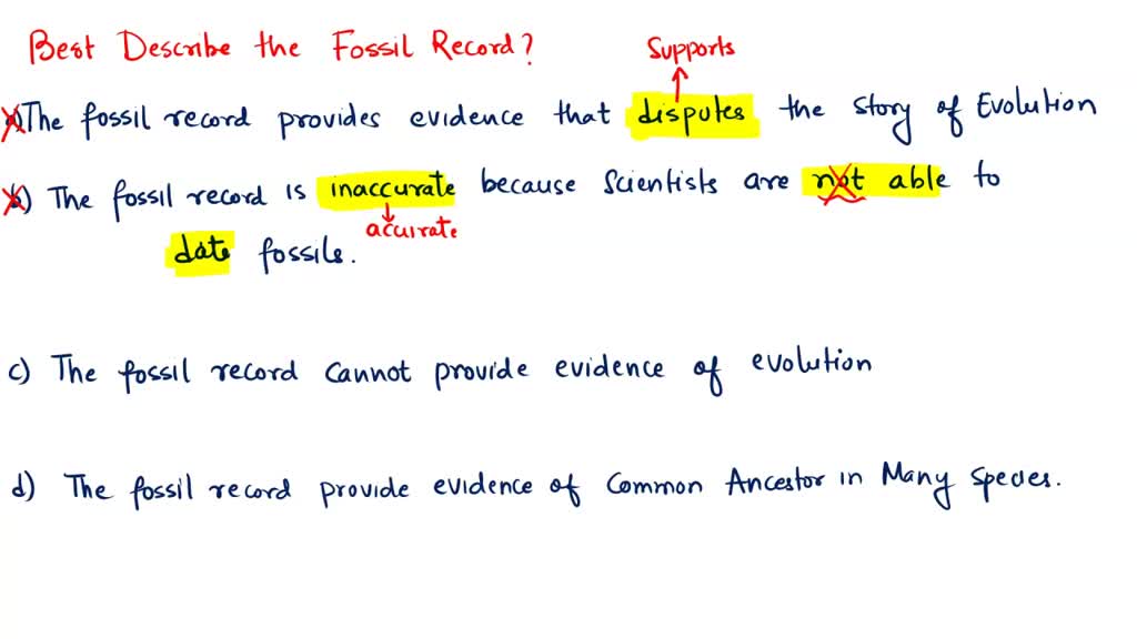 SOLVED: Which best describes the fossil record? The fossil record cannot  provide evidence of evolution. The fossil record provides evidence of a  common ancestor to many species. The fossil record provides evidence