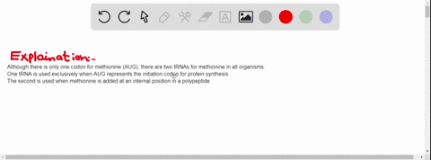 e-coli-has-two-trnas-for-methionine-what-is-the-basis-for-the-distinction-between-the-two-2-21243