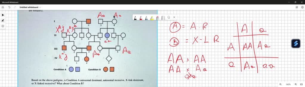 You Are Investigating The Inheritance Of Two Rare Conditions (A And B ...