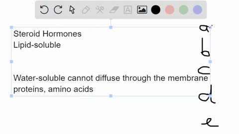 steroid-hormones-are-synthesized-from-______-and-bind-to-______-a-proteins-membrane-receptors-b-fatt-97879