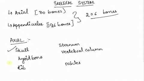 which-of-the-following-is-not-a-bone-of-the-appendicular-skeleton-a-the-scapula-b-a-rib-c-a-metatars-33383