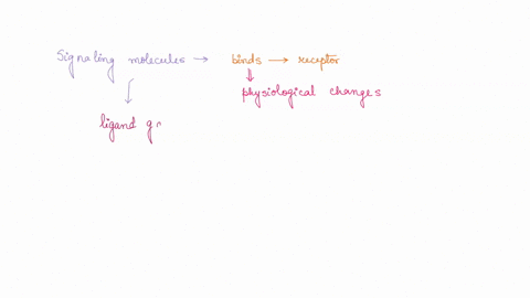 binding-of-a-signaling-molecule-to-which-type-of-receptor-leads-directly-to-a-change-in-the-distri-2-52311
