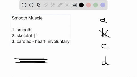 which-of-the-following-best-describes-a-function-of-smooth-muscle-tissue-a-it-affects-the-flow-of-bl-49503