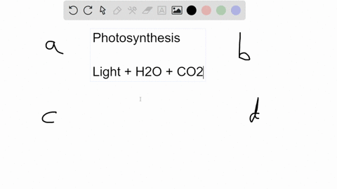 which-of-the-following-statements-does-not-describe-the-process-of-photosynthesis-a-occurs-within-chloroplasts-b-glucose-is-produced-c-carbon-dioxide-water-and-light-energy-is-used-d-involve-78665