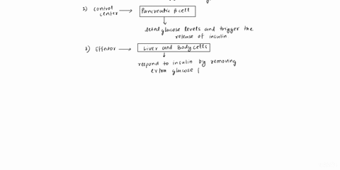 case-1-your-stomach-starts-grumbling-during-your-anatomy-and-physiology-lecture-as-soon-as-class-is-over-you-decide-to-hit-the-snack-area-you-see-your-favorite-candy-bar-in-one-of-the-snack-04362
