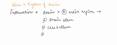 which-of-the-following-is-not-one-of-the-four-main-region-of-the-brain-a-cerebral-hemisphere-b-brainstem-c-cerebral-aqueduct-d-cerebellum-e-diencephalon-07243