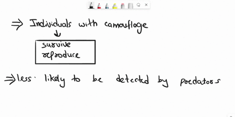 what-is-the-best-description-of-the-evolution-of-camouflage-by-natural-selection-43792