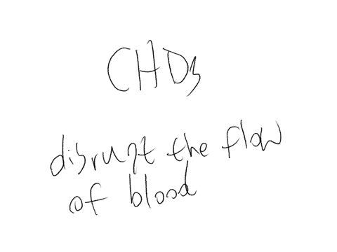 identify-the-congenital-heart-defects