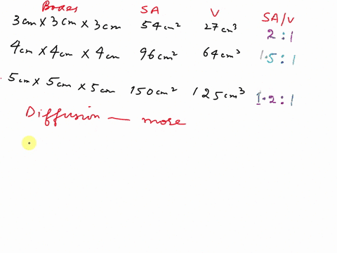 Experiment 2: Exploring Cell Size Table 2: Results from Surface Area to ...