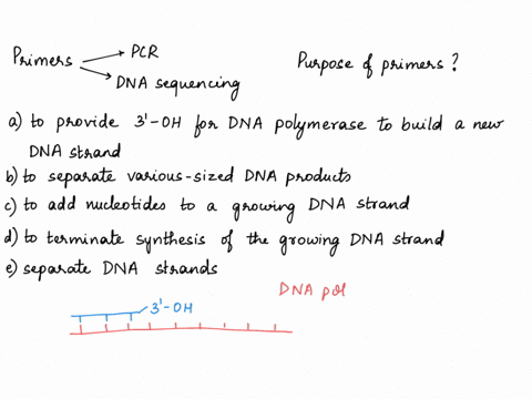 question-12-primers-are-used-in-both-pcr-and-in-dna-sequencing-what-is-the-purpose-of-the-primers-provide-3-oh-for-dna-polymerase-to-build-new-dna-strand-to-separate-various-sized-dna-produc-86572