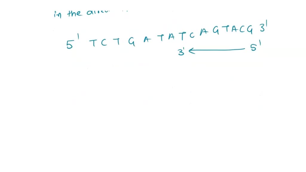 SOLVED: Question 5 (3pts): The following sequence of bases present ...