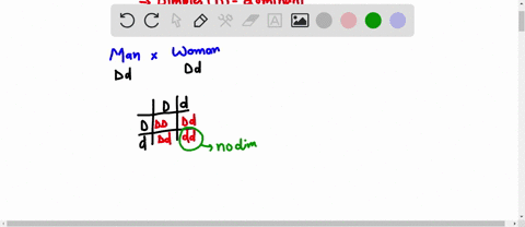 the-allele-for-dimples-d-is-dominant-to-the-allele-for-no-dimples-d-a-man-heterozygous-for-dimples-marries-a-woman-who-is-also-heterozygous-for-dimples-a-what-is-the-mans-genotype-and-the-wo-09987