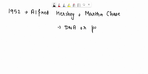 describe-how-scientists-discovered-that-dna-replication-occurs-through-semiconservative-replication-76293