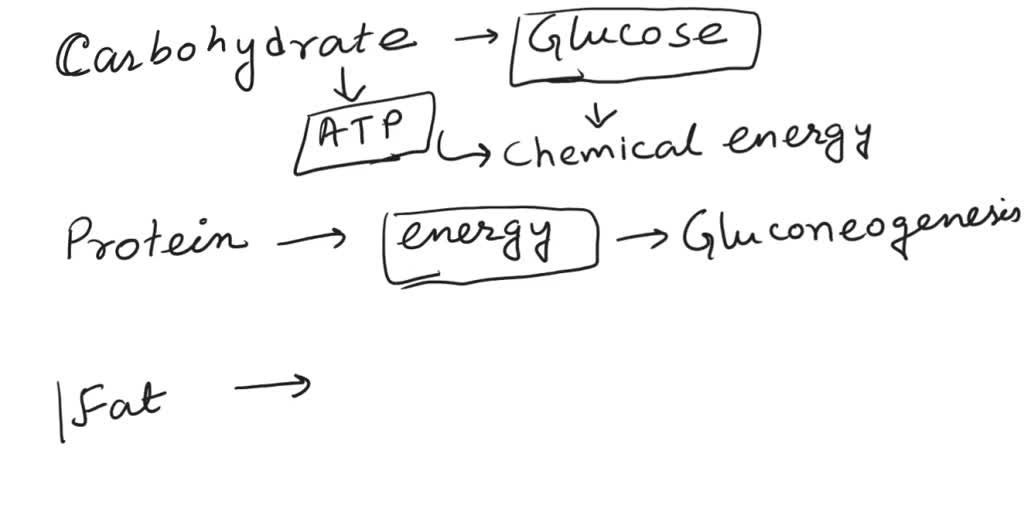 SOLVED Multiple Choice. Sources of chemical potential energy in the
