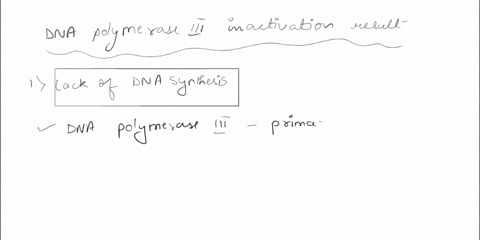 there-are-two-different-dna-polymerase-enzymes-dna-polymerase-iand-dna-polymerase-iii-that-are-active-during-prokaryotic-dnareplication-suppose-you-generated-a-mutant-e-coli-in-which-dnapoly-60743