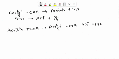 1-the-synthesis-of-acetyl-coa-from-acetate-is-an-atp-dependant-reaction-acetate-atp-coa-acetyl-coa-amp-ppi-a-the-g0-for-hydrolysis-of-acetyl-coa-to-acetate-and-coa-is-322-kjmol-and-that-for-15898