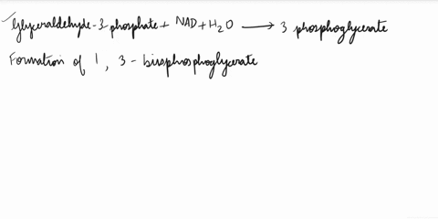 suppose-you-discovered-a-mutant-yeast-strain-whose-glycolytic-pathway-was-shorter-because-of-the-presence-of-a-new-enzyme-catalyzing-the-reaction-glyceraldehyde-3-phosphate-nad-5-3-phosphogl-35393