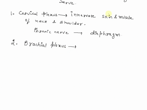 define-plexus-name-the-major-plexuses-and-describe-the-distribution-and-function-of-the-peripheral-nerves-arising-from-each-plexus-88253