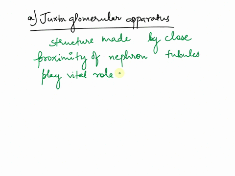 briefly-explain-the-importance-of-the-following-to-renal-physiology-and-homeostasis-05-pt-a-juxtaglomerular-apparatus-b-angiotensin-ii-c-atrial-natriuretic-hormone-22356