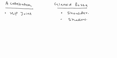 contrast-the-characteristics-of-the-acetabulum-and-glenoid-fossa-and-how-this-influences-the-mobility-and-stability-oftheir-associated-articulations-4-points-match-the-following-injuries-to-50064