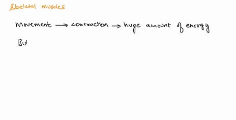 skeletal-muscle-cells-will-have-a-large-number-of-due-to-their-high-demand-for-energy-select-one-a-mitochondria-b-flagella-cribosomes-d-lysosomes-35234