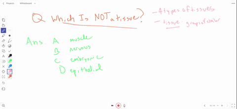 which-of-the-following-is-not-a-type-of-tissue-a-muscle-b-nervous-c-embryonic-d-epithelial-2