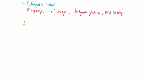 how-is-eukaryotic-mrna-processed-before-leaving-the-nucleus-how-might-transcription-be-terminated-which-exonnuclease-might-be-involved-how-are-trna-modified-41262