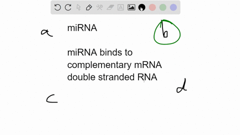 question-19-3-pts-the-phenomenon-in-which-messenger-rna-molecules-are-degraded-by-micro-rna-mirna-is-called-rna-termination-rna-interference-rna-splicing-rna-obstruction-question-20-3-pts-wh-28923