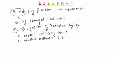 what-is-the-role-of-platelet-plug-formation-in-hemostasis-what-events-occur-during-platelet-plug-formation-describe-the-circumstances-that-may-induce-inappropriate-platelet-plug-formation-wi-02538