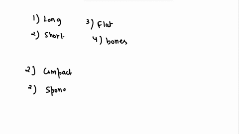 complete-classification-of-bones-according-to-bone-shape-histological-classification-of-bone-and-site-of-each-compact-bone-cancellous-bone-mention-the-main-features-and-the-locations-of-each-39328