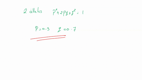 under-hardy-weinberg-equilibrium-if-a-population-exists-that-contains-2-alleles-only-each-has-a-respective-frequencyp03q07then-after-10-or-20-or-50-or-100-generations-the-resulting-frequenci-19513