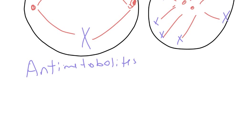 Solved imagine that a cell with four chromosomes was treated with