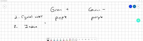 describe-the-gram-staining-procedure-for-identification-of-bacteria-00905