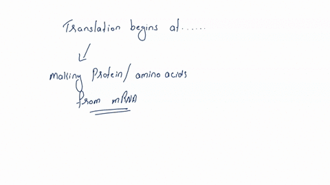 28-translation-begins-at-point-start-codon-polyadenylation-site-origin-of-replication-promoter-79984