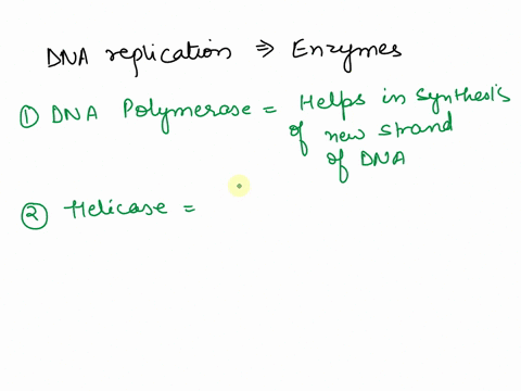 can-someone-please-explain-in-details-the-functions-of-the-main-enzymes-involved-in-dna-replication-42211
