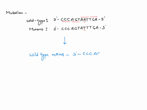 what-kind-of-mutation-is-present-in-the-following-dna-strand-wild-type-3-cccagtaattga-5-mutant-3cccagtatttga-5-use-the-codon-table-if-you-need-it-second-letter-uuu-ucu-phe-uau-ugu-u-uuc-ucc-75311