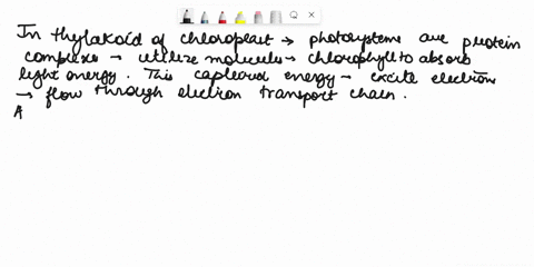 photosytems-and-clectron-transport-chains-are-located-in-the-of-the-chloroplasts-photosystems-use-molecules-to-absorb-solar-energy-this-energy-is-used-to-energize-that-will-move-down-the-cle-10942
